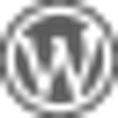 rijschool marcel mingels logo